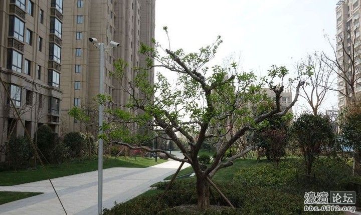 QQ截图20130426143723.jpg