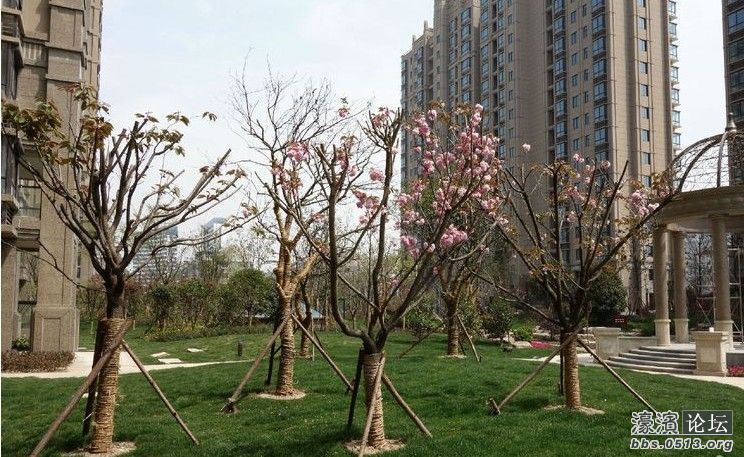 QQ截图20130426143906.jpg