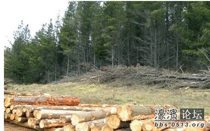 try特让他惹我.jpg