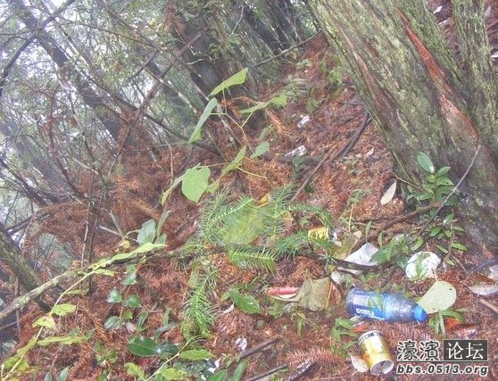 电饭锅.jpg