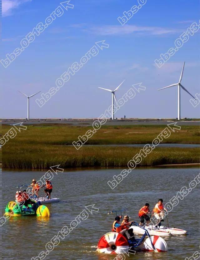 01c469d335df65dcaa062de64955a10c.jpg