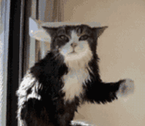 11095c8ec2cc02e18dab8143ca4ac96b.jpg