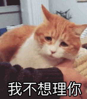 ad76e9b0d481e24f5346d5c2843ee6ab.jpg