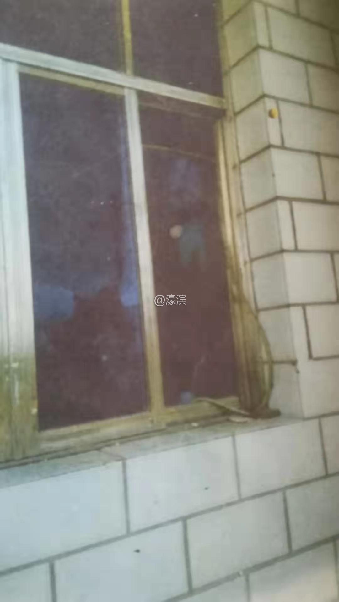 微信图片_20190709232445.jpg