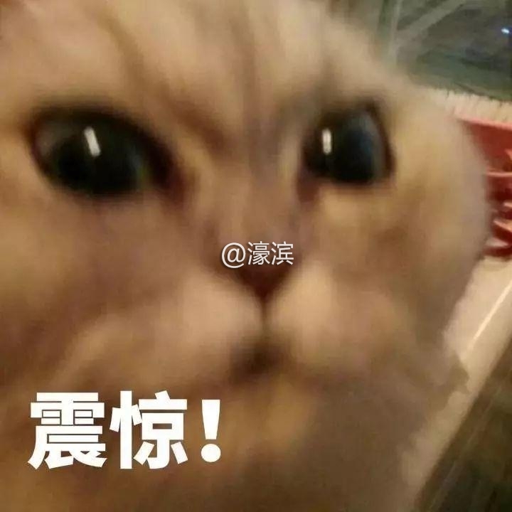 c5d51c216f49495a85013bfacd6843f6.jpeg