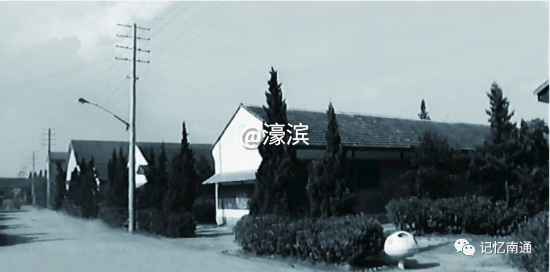 3ddc1d42e7bd2a4a12fd526583c4516c.jpg