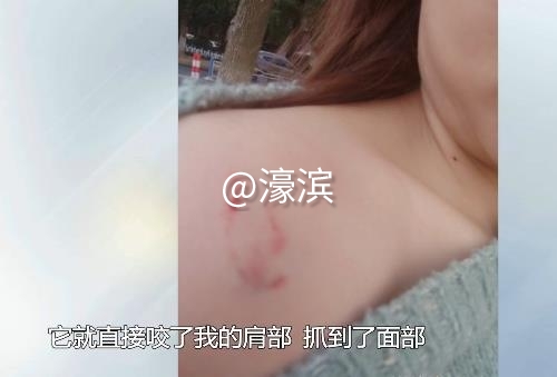360截图20201103160356220.jpg