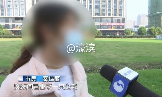 360截图20201103160347141.jpg