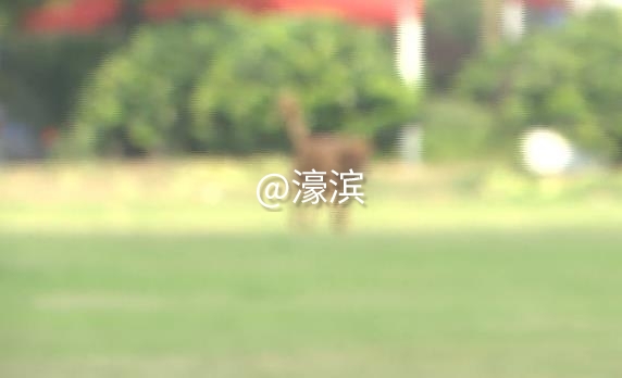 360截图20201103160428420.jpg
