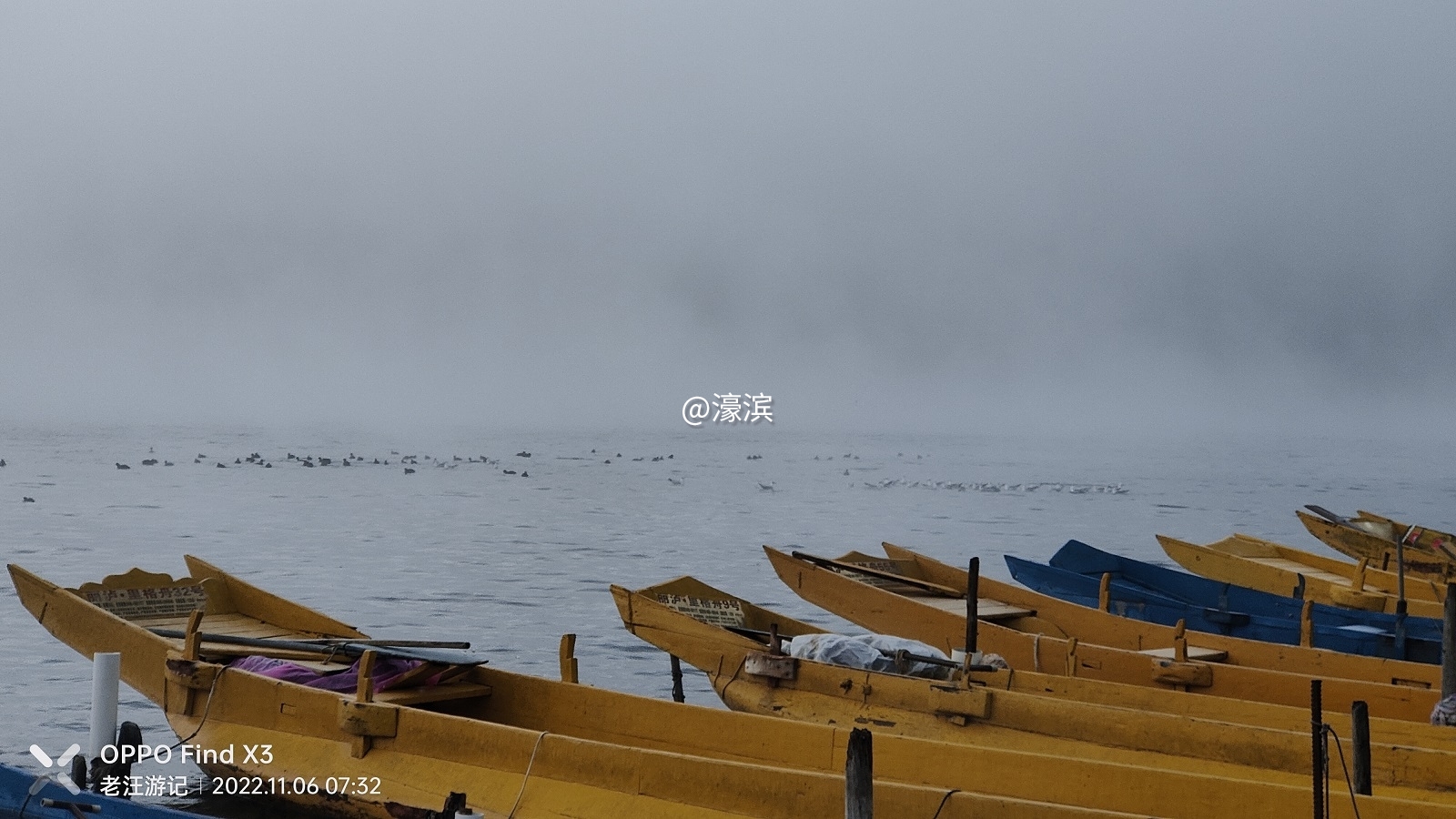IMG20221106073206.jpg