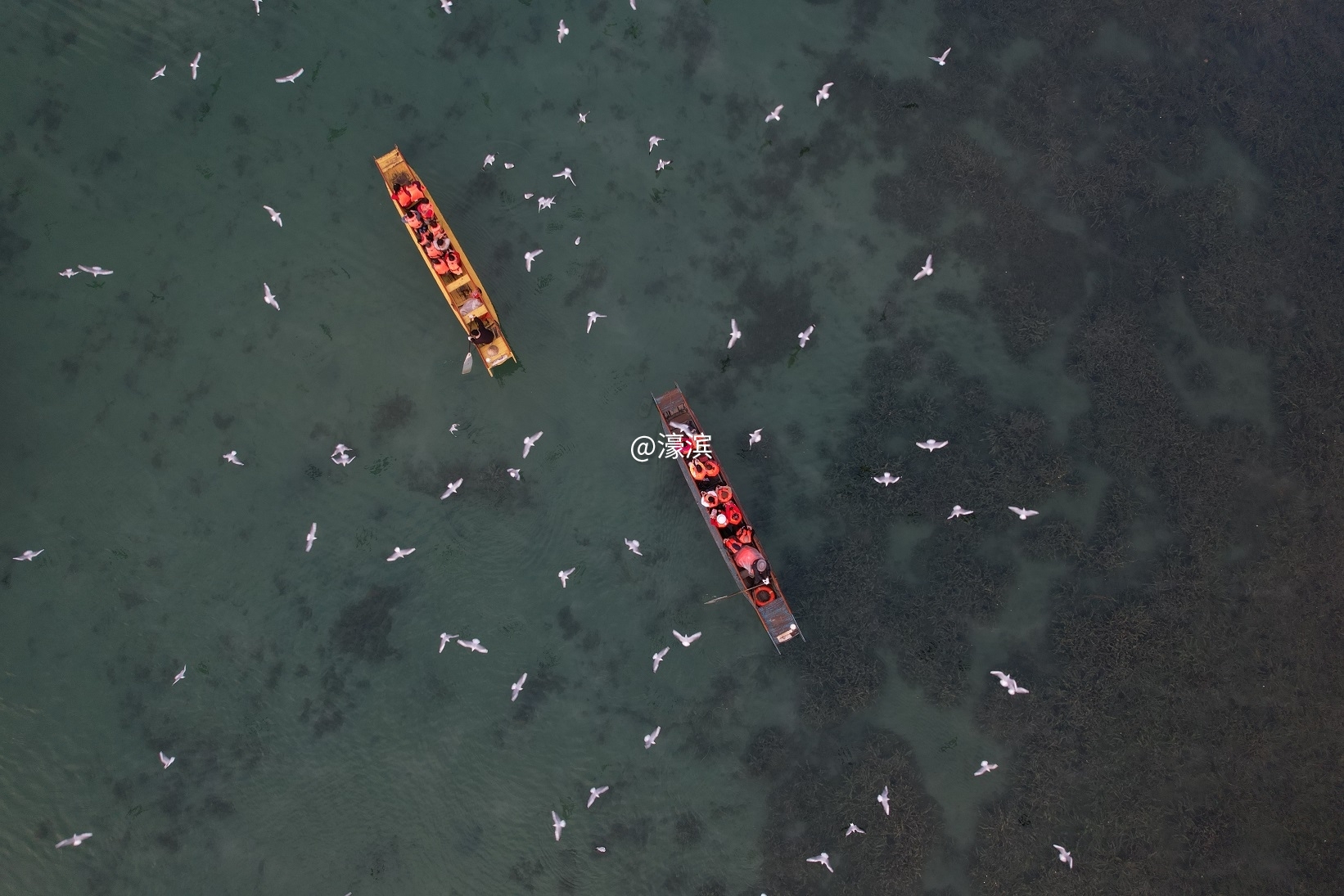 DJI_0488.JPG